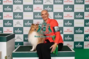 D-C-D-0-1-9-0 Crufts 2024 NEC Birmingham Pastoral