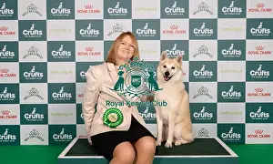 Muchly Prints: D-C-D-0-1-9-0 Crufts 2024 NEC Birmingham Pastoral