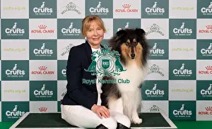 Collie Rough Prints: D-C-D-0-1-9-0 Crufts 2024 NEC Birmingham Pastoral