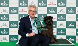 Pyrenean Sheepdog Long Haired Prints: D-C-D-0-1-9-0 Crufts 2024 NEC Birmingham Pastoral