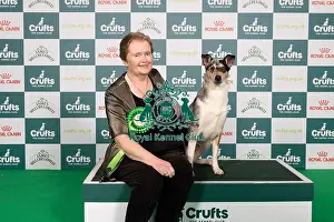 Collie Smooth Prints: D-C-D-0-1-9-0 Crufts 2024 NEC Birmingham Pastoral
