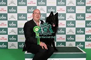 Belgian Shepherd Dog Groenendael Prints: D-C-D-0-1-9-0 Crufts 2024 NEC Birmingham Pastoral