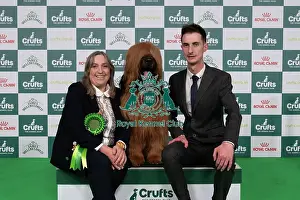 Briard Prints: D-C-D-0-1-9-0 Crufts 2024 NEC Birmingham Pastoral