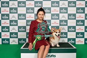 D-C-D-0-1-9-0 Crufts 2024 NEC Birmingham Pastoral