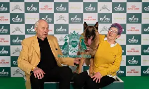 D-C-D-0-1-9-0 Crufts 2024 NEC Birmingham Pastoral