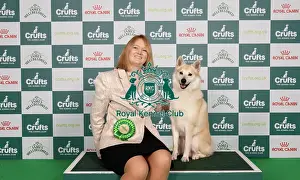 Muchly Prints: D-C-D-0-1-9-0 Crufts 2024 NEC Birmingham Pastoral