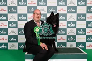 Belgian Shepherd Dog Groenendael Prints: D-C-D-0-1-9-0 Crufts 2024 NEC Birmingham Pastoral