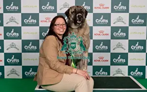 Kelly Stewart Prints: D-C-D-0-1-9-0 Crufts 2024 NEC Birmingham Pastoral