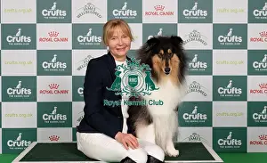 D-C-D-0-1-9-0 Crufts 2024 NEC Birmingham Pastoral