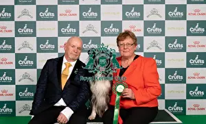 Carolyn Heath Prints: D-C-D-0-1-9-0 Crufts 2024 NEC Birmingham Pastoral