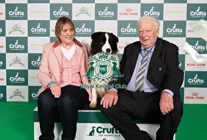Border Collie Prints: D-C-D-0-1-9-0 Crufts 2024 NEC Birmingham Pastoral
