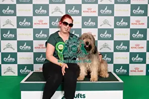 Catalan Sheepdog Prints: D-C-D-0-1-9-0 Crufts 2024 NEC Birmingham Pastoral