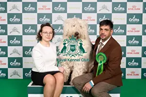 Komondor Prints: D-C-D-0-1-9-0 Crufts 2024 NEC Birmingham Pastoral