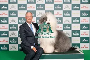 Old English Sheepdog Prints: D-C-D-0-1-9-0 Crufts 2024 NEC Birmingham Pastoral
