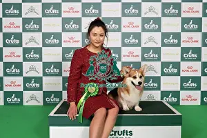 D-C-D-0-1-9-0 Crufts 2024 NEC Birmingham Pastoral