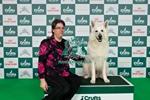 D-C-D-0-1-9-0 Crufts 2024 NEC Birmingham Pastoral