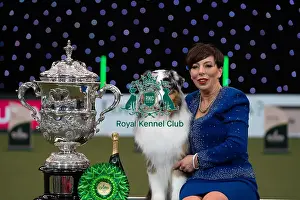 Melanie Raymond Prints: D-C-D-0-1-9-0 Crufts 2024 NEC Birmingham Terrier