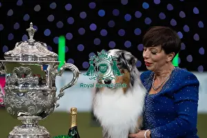 Melanie Raymond Prints: D-C-D-0-1-9-0 Crufts 2024 NEC Birmingham Terrier