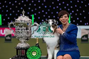 Melanie Raymond Prints: D-C-D-0-1-9-0 Crufts 2024 NEC Birmingham Terrier