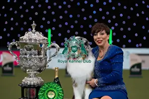 Melanie Raymond Prints: D-C-D-0-1-9-0 Crufts 2024 NEC Birmingham Terrier