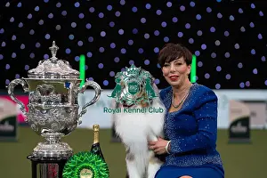 Melanie Raymond Prints: D-C-D-0-1-9-0 Crufts 2024 NEC Birmingham Terrier