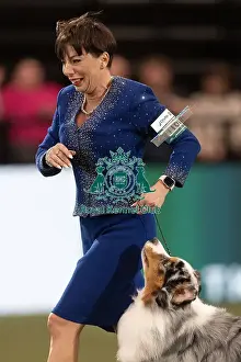Melanie Raymond Prints: D-C-D-0-1-9-0 Crufts 2024 NEC Birmingham Terrier
