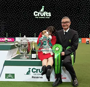 Kao Miichi Prints: D-C-D-0-1-9-0 Crufts 2024 NEC Birmingham Terrier
