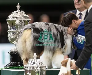 Melanie Raymond Prints: D-C-D-0-1-9-0 Crufts 2024 NEC Birmingham Terrier