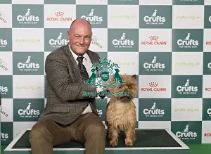 Magnus Hoff Prints: D-C-D-0-1-9-0 Crufts 2024 NEC Birmingham Terrier
