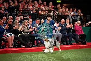Melanie Raymond Prints: D-C-D-0-1-9-0 Crufts 2024 NEC Birmingham Terrier
