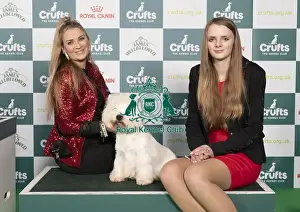West Highland White Terrier Prints: D-C-D-0-1-9-0 Crufts 2024 NEC Birmingham Terrier