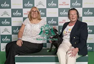 Staffordshire Bull Terrier Prints: D-C-D-0-1-9-0 Crufts 2024 NEC Birmingham Terrier