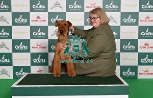 Airedale Terrier Prints: D-C-D-0-1-9-0 Crufts 2024 NEC Birmingham Terrier