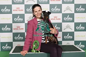 D-C-D-0-1-9-0 Crufts 2024 NEC Birmingham Terrier