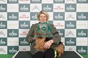 Australian Terrier Prints: D-C-D-0-1-9-0 Crufts 2024 NEC Birmingham Terrier