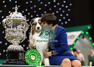 Melanie Raymond Prints: D-C-D-0-1-9-0 Crufts 2024 NEC Birmingham Terrier