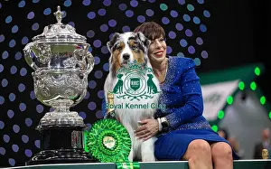 Melanie Raymond Prints: D-C-D-0-1-9-0 Crufts 2024 NEC Birmingham Terrier