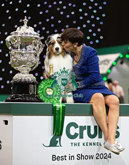 Melanie Raymond Prints: D-C-D-0-1-9-0 Crufts 2024 NEC Birmingham Terrier