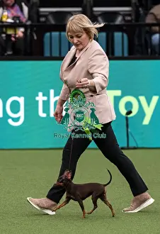 Russian Toy Prints: D-C-D-0-1-9-0 Crufts 2024 NEC Birmingham Toy