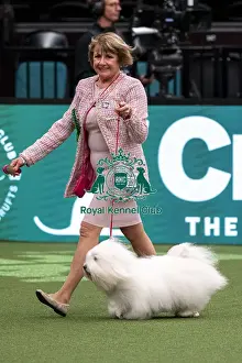 D-C-D-0-1-9-0 Crufts 2024 NEC Birmingham Toy