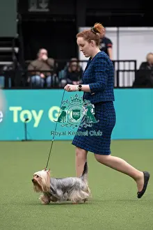 Ricky Prints: D-C-D-0-1-9-0 Crufts 2024 NEC Birmingham Toy