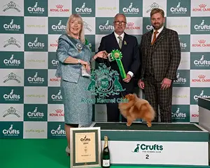 Pomeranian Prints: D-C-D-0-1-9-0 Crufts 2024 NEC Birmingham Toy