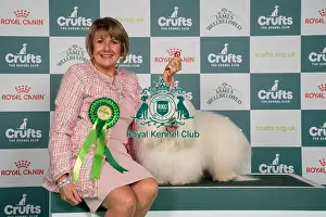 D-C-D-0-1-9-0 Crufts 2024 NEC Birmingham Toy