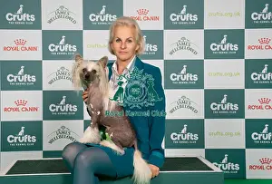 Chinese Crested Prints: D-C-D-0-1-9-0 Crufts 2024 NEC Birmingham Toy