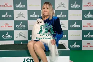 Maltese Prints: D-C-D-0-1-9-0 Crufts 2024 NEC Birmingham Toy
