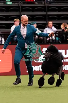 Jason Lynn Prints: D-C-D-0-1-9-0 Crufts 2024 NEC Birmingham Utility