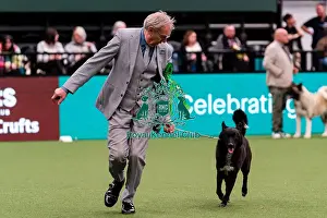 D-C-D-0-1-9-0 Crufts 2024 NEC Birmingham Utility