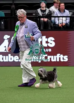 Lola Prints: D-C-D-0-1-9-0 Crufts 2024 NEC Birmingham Utility