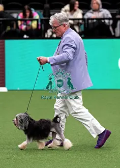 Lola Prints: D-C-D-0-1-9-0 Crufts 2024 NEC Birmingham Utility