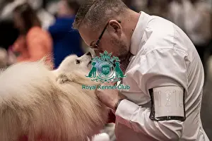 Dale Francis Prints: D-C-D-0-1-9-0 Crufts 2024 NEC Birmingham Utility